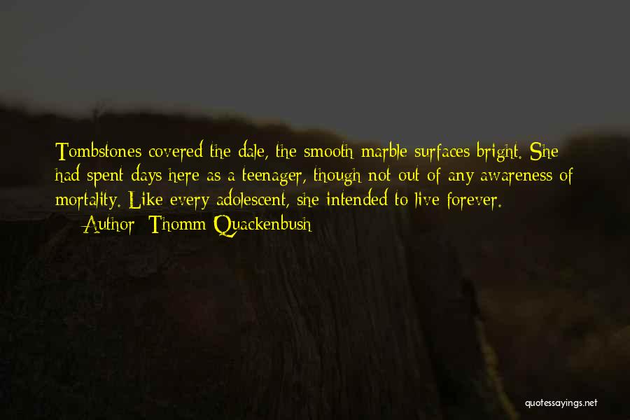 Thomm Quackenbush Quotes: Tombstones Covered The Dale, The Smooth Marble Surfaces Bright. She Had Spent Days Here As A Teenager, Though Not Out