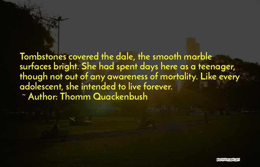 Thomm Quackenbush Quotes: Tombstones Covered The Dale, The Smooth Marble Surfaces Bright. She Had Spent Days Here As A Teenager, Though Not Out