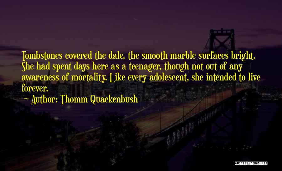 Thomm Quackenbush Quotes: Tombstones Covered The Dale, The Smooth Marble Surfaces Bright. She Had Spent Days Here As A Teenager, Though Not Out