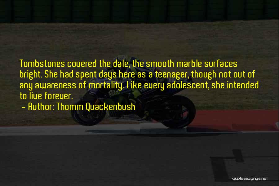 Thomm Quackenbush Quotes: Tombstones Covered The Dale, The Smooth Marble Surfaces Bright. She Had Spent Days Here As A Teenager, Though Not Out