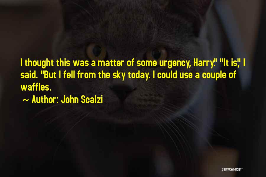 John Scalzi Quotes: I Thought This Was A Matter Of Some Urgency, Harry. It Is, I Said. But I Fell From The Sky
