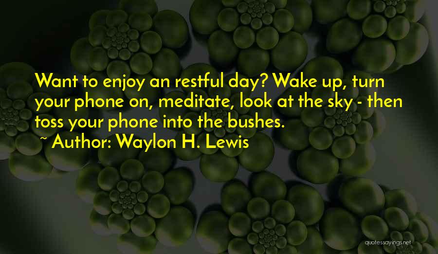 Waylon H. Lewis Quotes: Want To Enjoy An Restful Day? Wake Up, Turn Your Phone On, Meditate, Look At The Sky - Then Toss