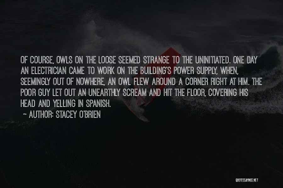 Stacey O'Brien Quotes: Of Course, Owls On The Loose Seemed Strange To The Uninitiated. One Day An Electrician Came To Work On The