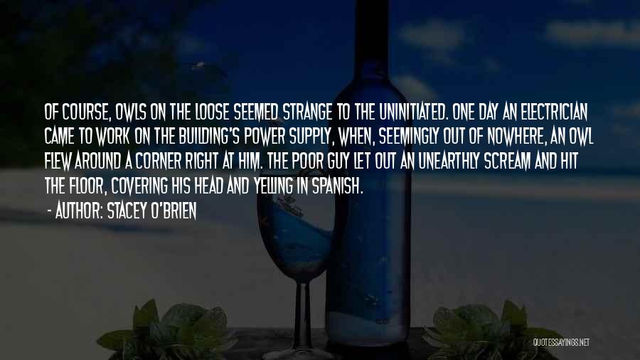 Stacey O'Brien Quotes: Of Course, Owls On The Loose Seemed Strange To The Uninitiated. One Day An Electrician Came To Work On The
