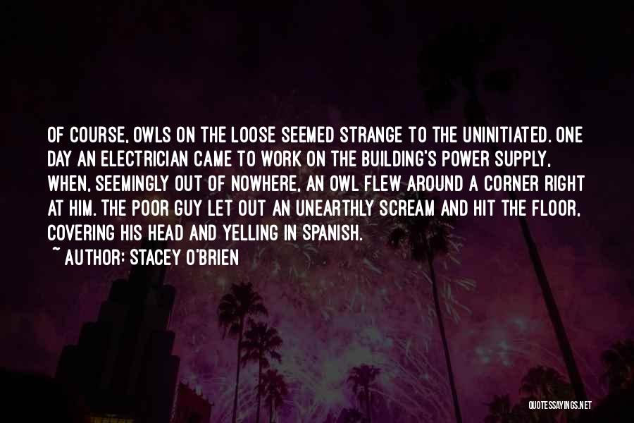 Stacey O'Brien Quotes: Of Course, Owls On The Loose Seemed Strange To The Uninitiated. One Day An Electrician Came To Work On The