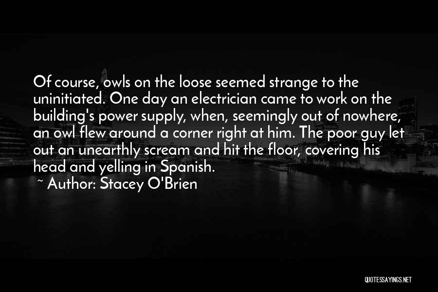 Stacey O'Brien Quotes: Of Course, Owls On The Loose Seemed Strange To The Uninitiated. One Day An Electrician Came To Work On The