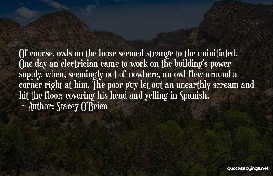 Stacey O'Brien Quotes: Of Course, Owls On The Loose Seemed Strange To The Uninitiated. One Day An Electrician Came To Work On The