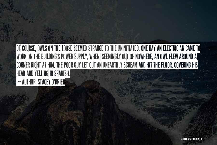 Stacey O'Brien Quotes: Of Course, Owls On The Loose Seemed Strange To The Uninitiated. One Day An Electrician Came To Work On The