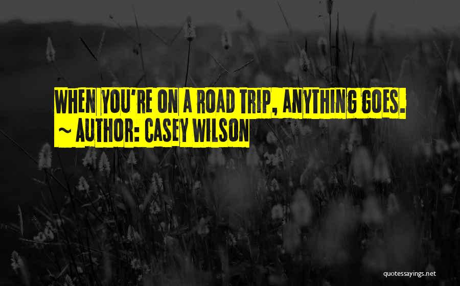 Casey Wilson Quotes: When You're On A Road Trip, Anything Goes.