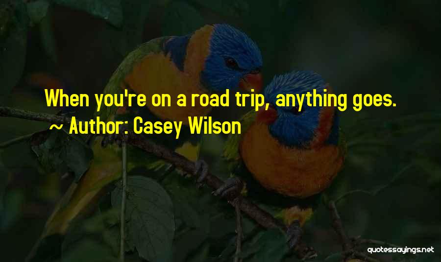 Casey Wilson Quotes: When You're On A Road Trip, Anything Goes.