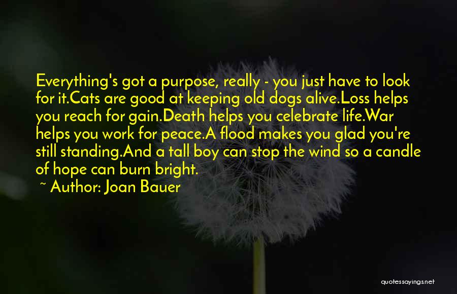 Joan Bauer Quotes: Everything's Got A Purpose, Really - You Just Have To Look For It.cats Are Good At Keeping Old Dogs Alive.loss