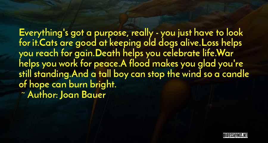 Joan Bauer Quotes: Everything's Got A Purpose, Really - You Just Have To Look For It.cats Are Good At Keeping Old Dogs Alive.loss