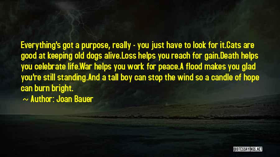 Joan Bauer Quotes: Everything's Got A Purpose, Really - You Just Have To Look For It.cats Are Good At Keeping Old Dogs Alive.loss