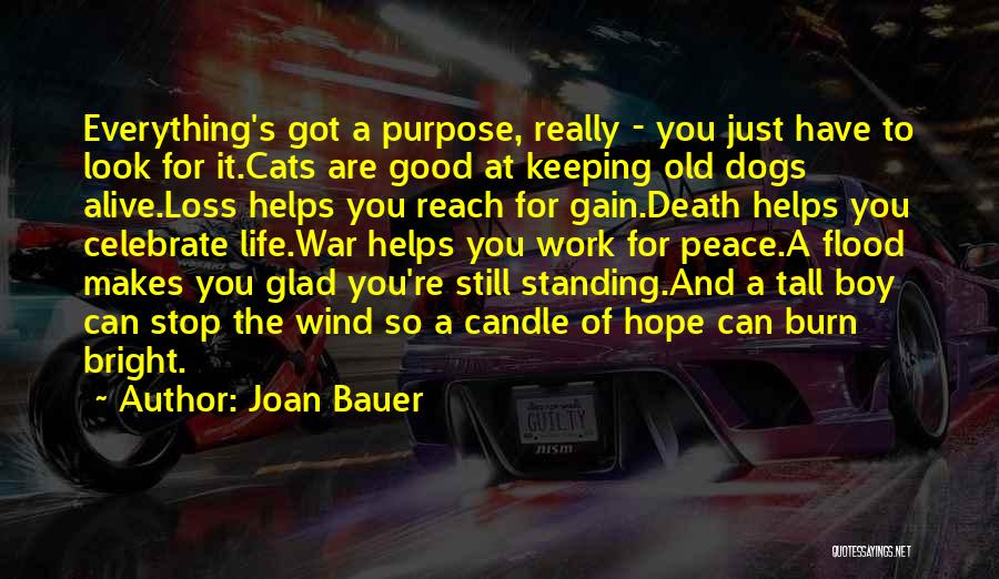 Joan Bauer Quotes: Everything's Got A Purpose, Really - You Just Have To Look For It.cats Are Good At Keeping Old Dogs Alive.loss