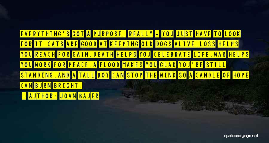 Joan Bauer Quotes: Everything's Got A Purpose, Really - You Just Have To Look For It.cats Are Good At Keeping Old Dogs Alive.loss