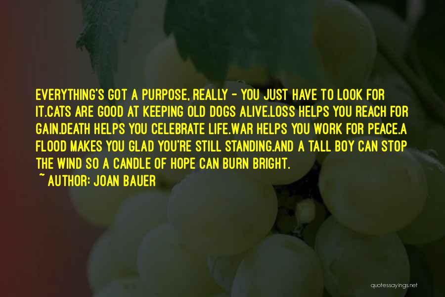 Joan Bauer Quotes: Everything's Got A Purpose, Really - You Just Have To Look For It.cats Are Good At Keeping Old Dogs Alive.loss