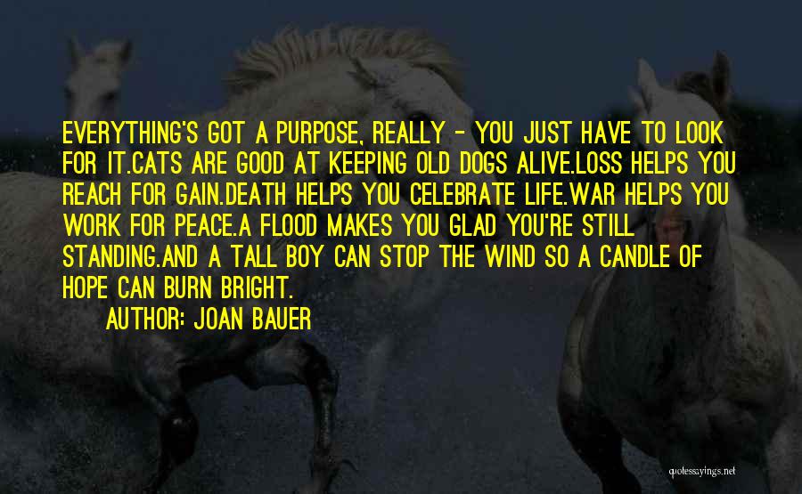 Joan Bauer Quotes: Everything's Got A Purpose, Really - You Just Have To Look For It.cats Are Good At Keeping Old Dogs Alive.loss