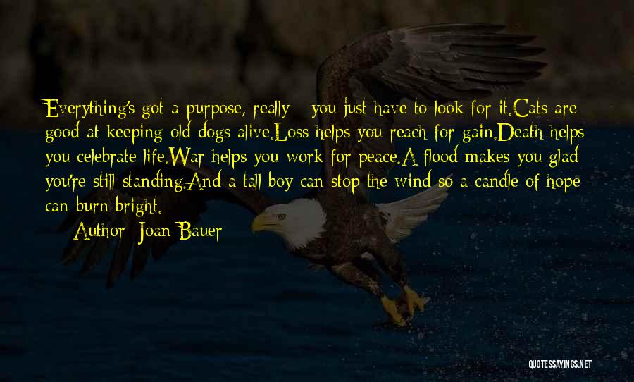 Joan Bauer Quotes: Everything's Got A Purpose, Really - You Just Have To Look For It.cats Are Good At Keeping Old Dogs Alive.loss