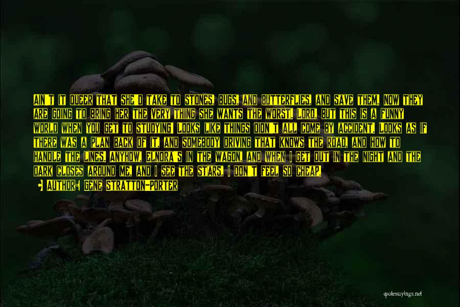 Gene Stratton-Porter Quotes: Ain't It Queer That She'd Take To Stones, Bugs, And Butterflies, And Save Them. Now They Are Going To Bring