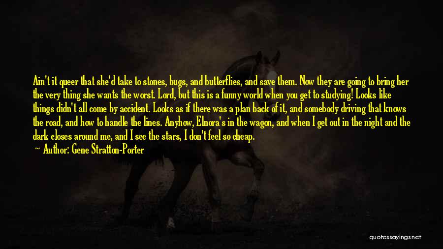 Gene Stratton-Porter Quotes: Ain't It Queer That She'd Take To Stones, Bugs, And Butterflies, And Save Them. Now They Are Going To Bring