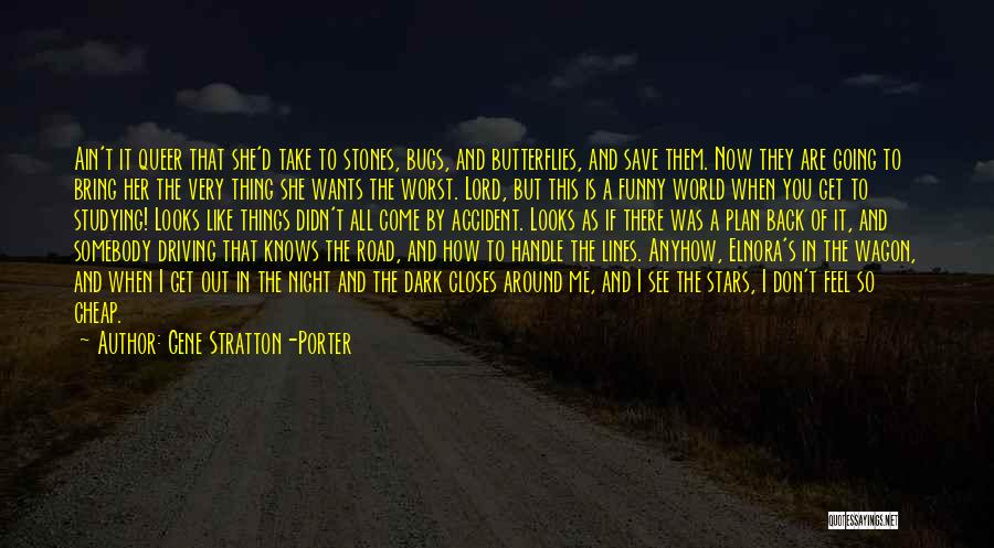 Gene Stratton-Porter Quotes: Ain't It Queer That She'd Take To Stones, Bugs, And Butterflies, And Save Them. Now They Are Going To Bring