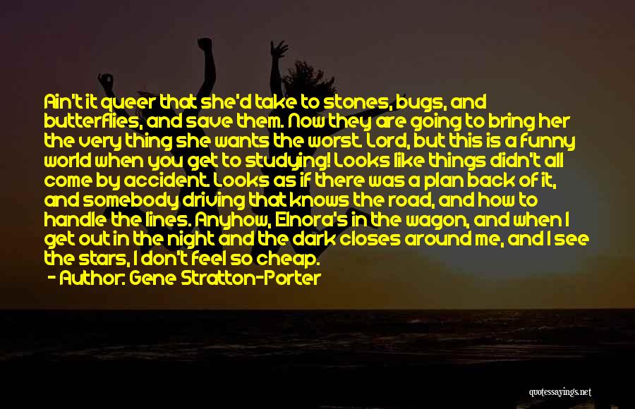 Gene Stratton-Porter Quotes: Ain't It Queer That She'd Take To Stones, Bugs, And Butterflies, And Save Them. Now They Are Going To Bring