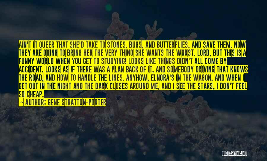 Gene Stratton-Porter Quotes: Ain't It Queer That She'd Take To Stones, Bugs, And Butterflies, And Save Them. Now They Are Going To Bring