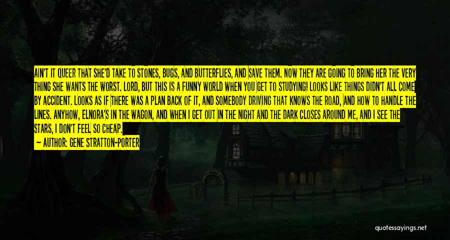 Gene Stratton-Porter Quotes: Ain't It Queer That She'd Take To Stones, Bugs, And Butterflies, And Save Them. Now They Are Going To Bring