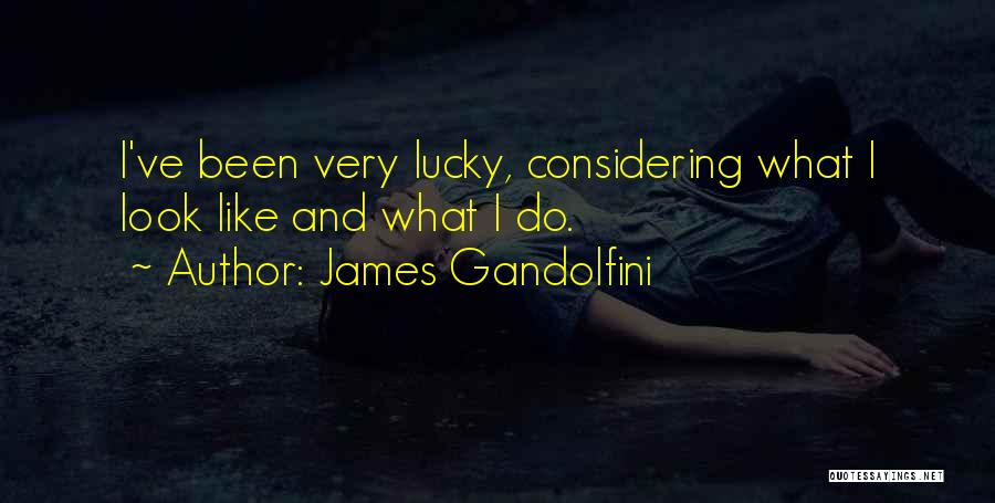 James Gandolfini Quotes: I've Been Very Lucky, Considering What I Look Like And What I Do.