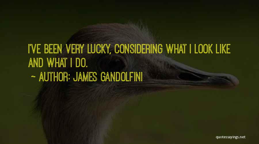 James Gandolfini Quotes: I've Been Very Lucky, Considering What I Look Like And What I Do.