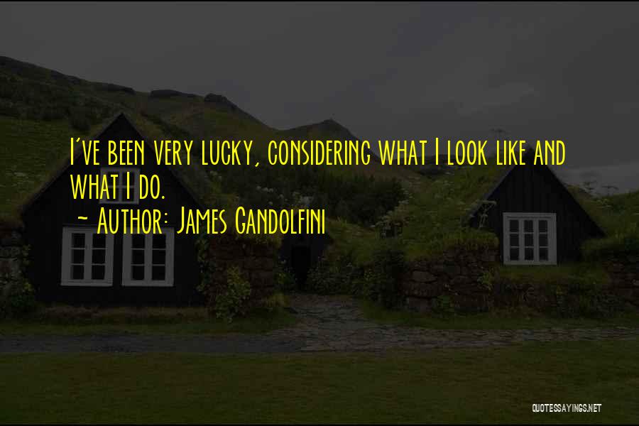 James Gandolfini Quotes: I've Been Very Lucky, Considering What I Look Like And What I Do.