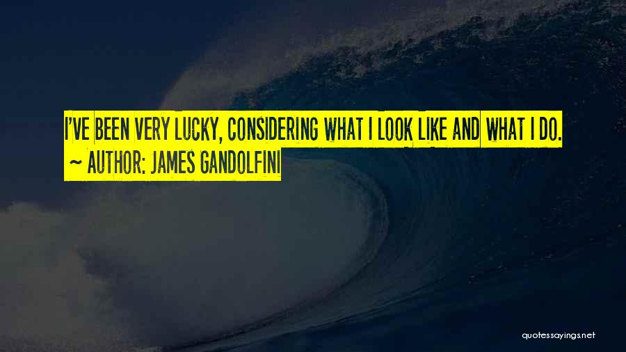 James Gandolfini Quotes: I've Been Very Lucky, Considering What I Look Like And What I Do.
