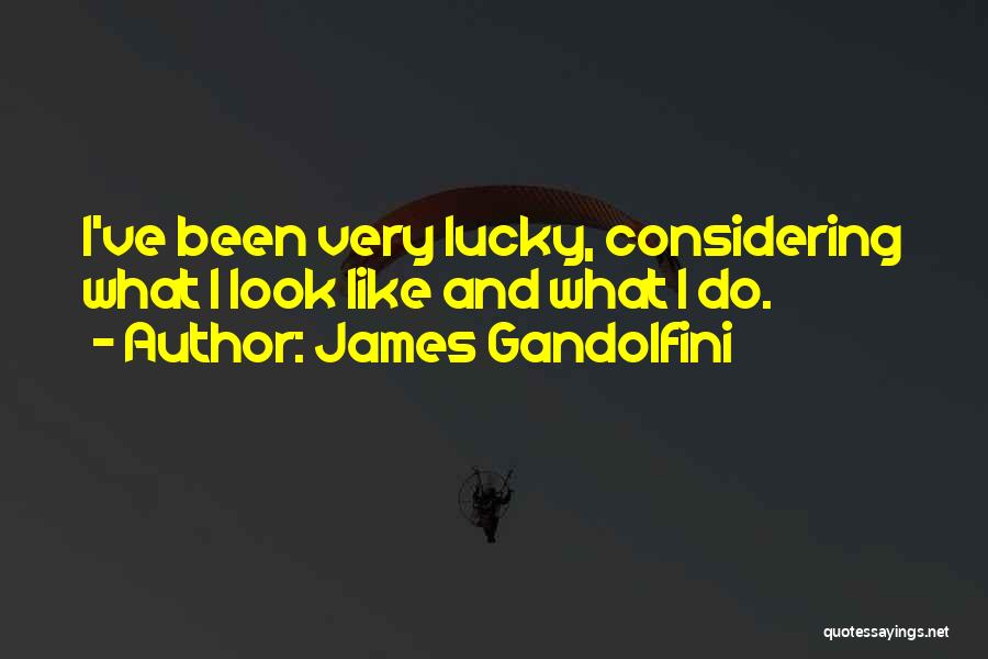 James Gandolfini Quotes: I've Been Very Lucky, Considering What I Look Like And What I Do.