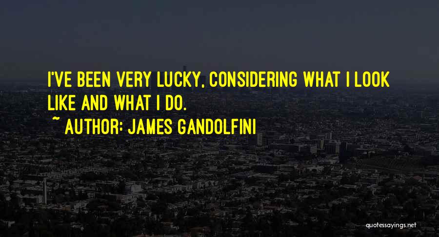 James Gandolfini Quotes: I've Been Very Lucky, Considering What I Look Like And What I Do.