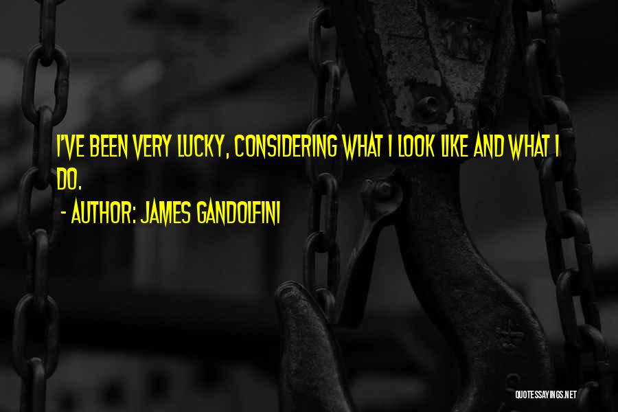 James Gandolfini Quotes: I've Been Very Lucky, Considering What I Look Like And What I Do.