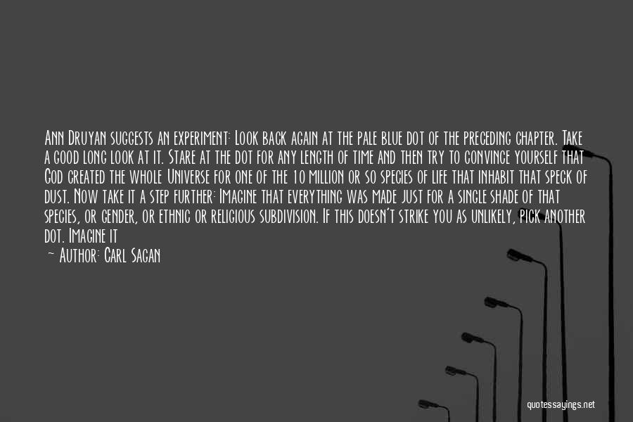 Carl Sagan Quotes: Ann Druyan Suggests An Experiment: Look Back Again At The Pale Blue Dot Of The Preceding Chapter. Take A Good