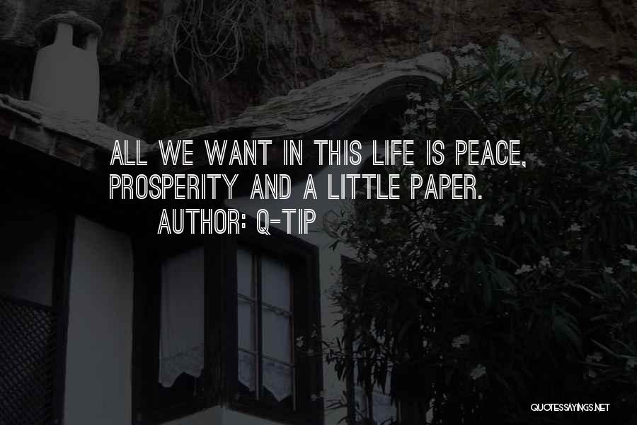 Q-Tip Quotes: All We Want In This Life Is Peace, Prosperity And A Little Paper.