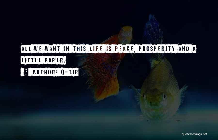 Q-Tip Quotes: All We Want In This Life Is Peace, Prosperity And A Little Paper.