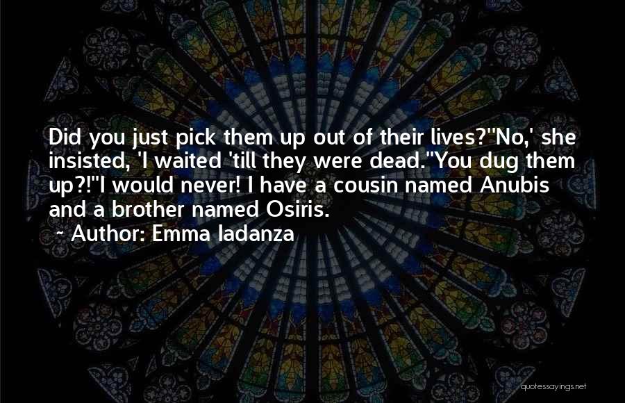 Emma Iadanza Quotes: Did You Just Pick Them Up Out Of Their Lives?''no,' She Insisted, 'i Waited 'till They Were Dead.''you Dug Them