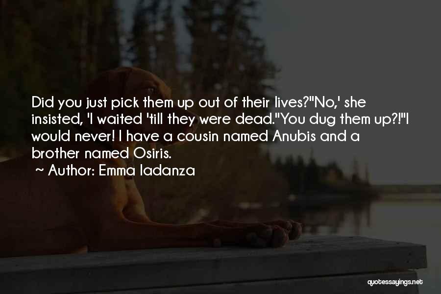 Emma Iadanza Quotes: Did You Just Pick Them Up Out Of Their Lives?''no,' She Insisted, 'i Waited 'till They Were Dead.''you Dug Them