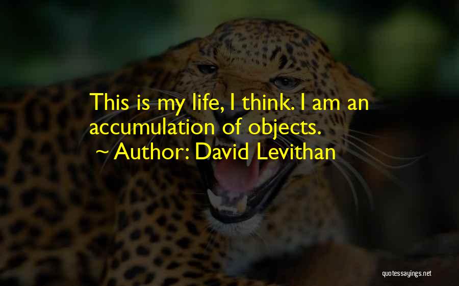 David Levithan Quotes: This Is My Life, I Think. I Am An Accumulation Of Objects.