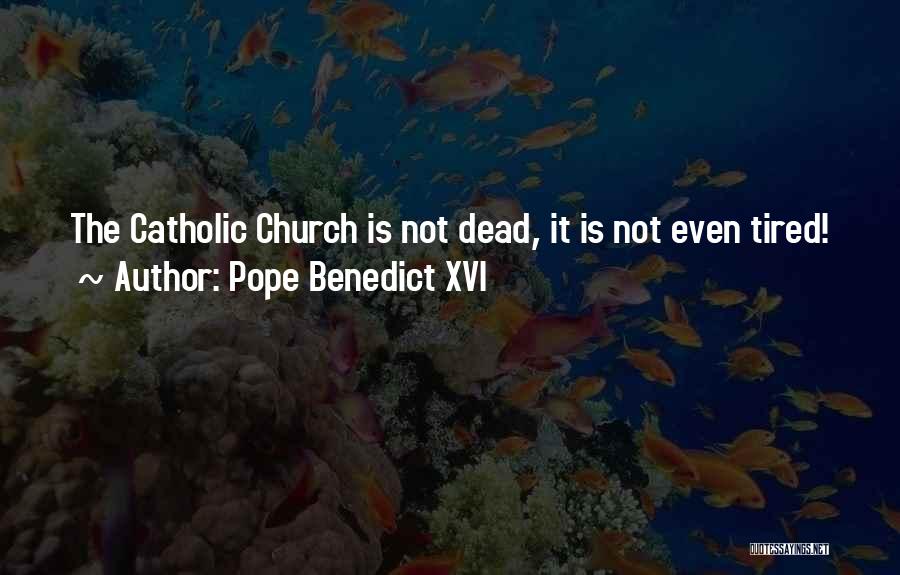 Pope Benedict XVI Quotes: The Catholic Church Is Not Dead, It Is Not Even Tired!