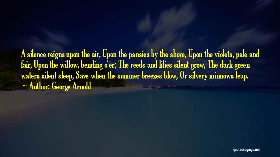 George Arnold Quotes: A Silence Reigns Upon The Air, Upon The Pansies By The Shore, Upon The Violets, Pale And Fair, Upon The