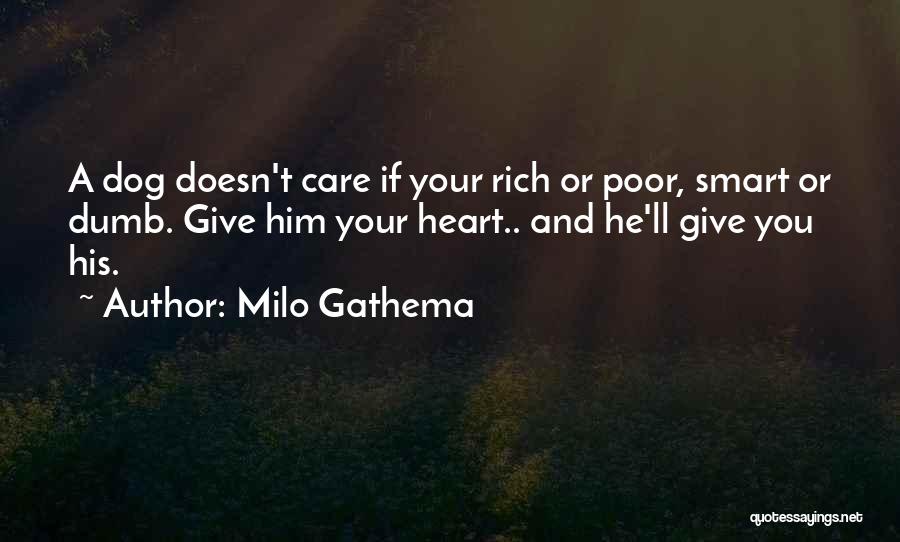 Milo Gathema Quotes: A Dog Doesn't Care If Your Rich Or Poor, Smart Or Dumb. Give Him Your Heart.. And He'll Give You