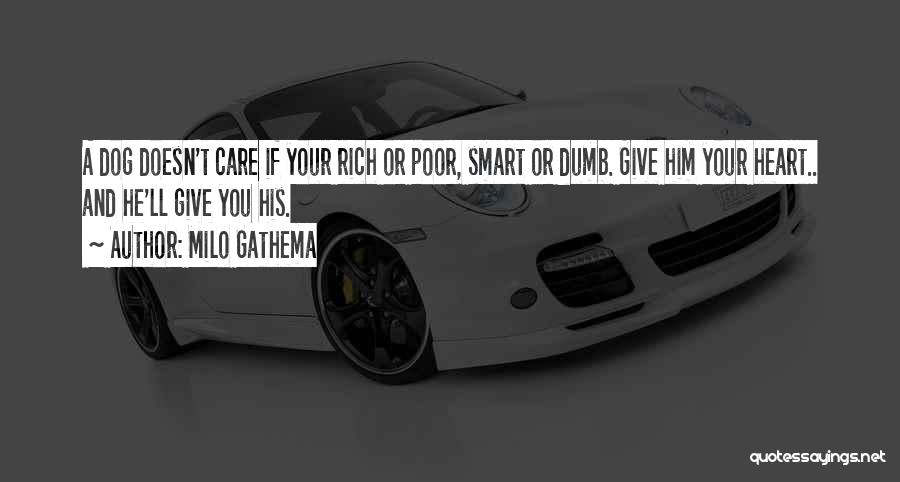 Milo Gathema Quotes: A Dog Doesn't Care If Your Rich Or Poor, Smart Or Dumb. Give Him Your Heart.. And He'll Give You