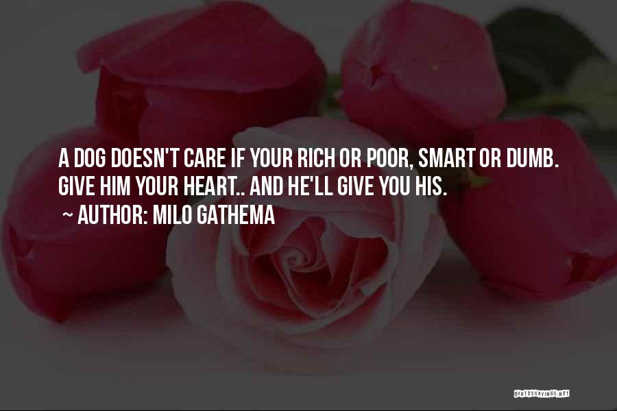 Milo Gathema Quotes: A Dog Doesn't Care If Your Rich Or Poor, Smart Or Dumb. Give Him Your Heart.. And He'll Give You