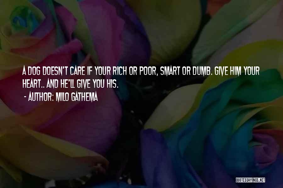 Milo Gathema Quotes: A Dog Doesn't Care If Your Rich Or Poor, Smart Or Dumb. Give Him Your Heart.. And He'll Give You