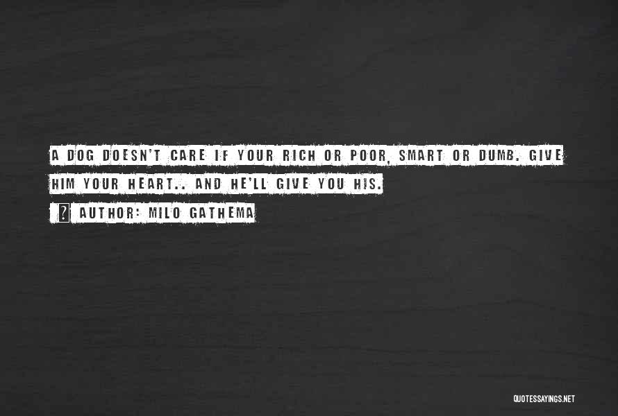 Milo Gathema Quotes: A Dog Doesn't Care If Your Rich Or Poor, Smart Or Dumb. Give Him Your Heart.. And He'll Give You