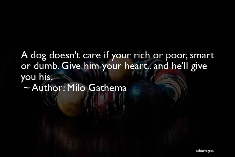 Milo Gathema Quotes: A Dog Doesn't Care If Your Rich Or Poor, Smart Or Dumb. Give Him Your Heart.. And He'll Give You