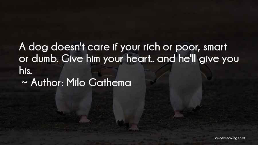 Milo Gathema Quotes: A Dog Doesn't Care If Your Rich Or Poor, Smart Or Dumb. Give Him Your Heart.. And He'll Give You